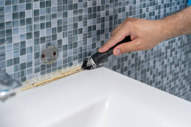 Best Mold Testing and Inspection Services in Petersburg, MI