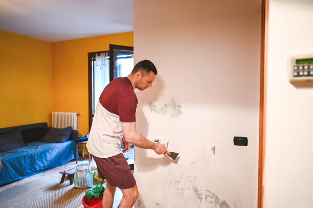 Best Emergency Mold Remediation in Petersburg, MI